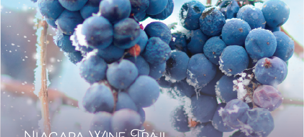 winter wine pass 2026